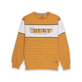 striped sweatshirt for boys